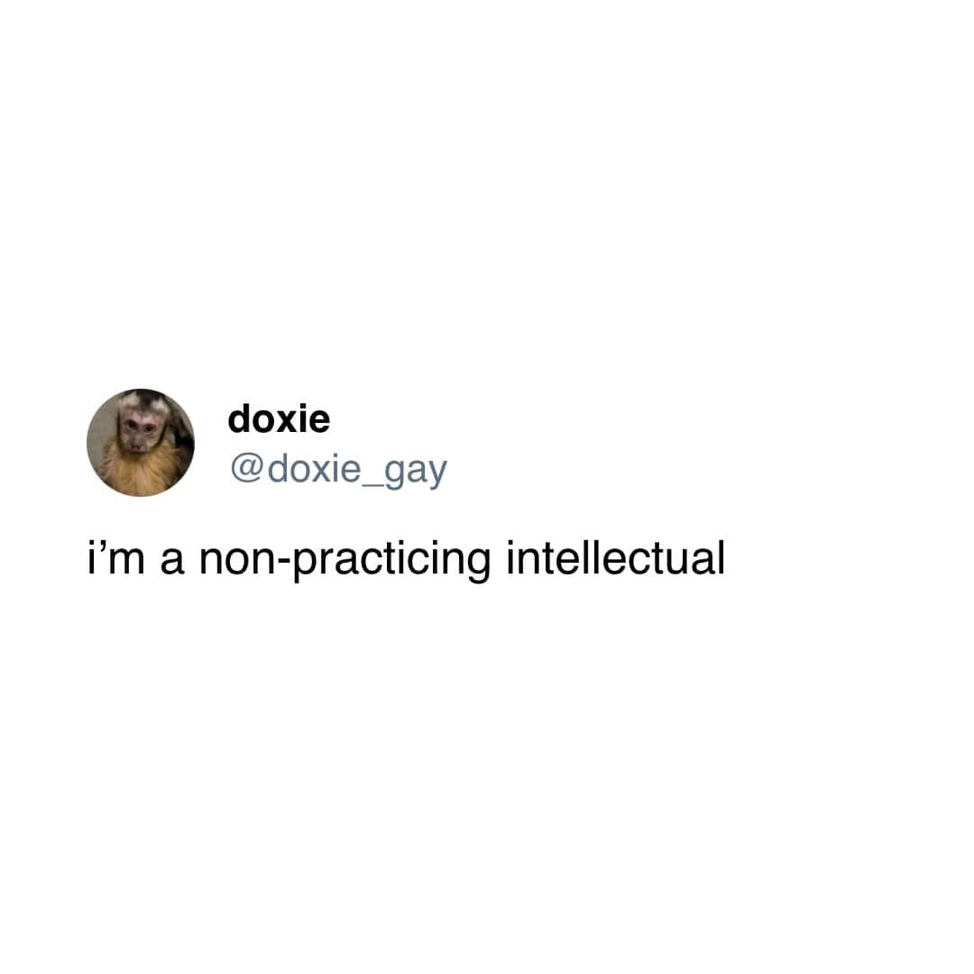 i'm a non-practicing intellectual