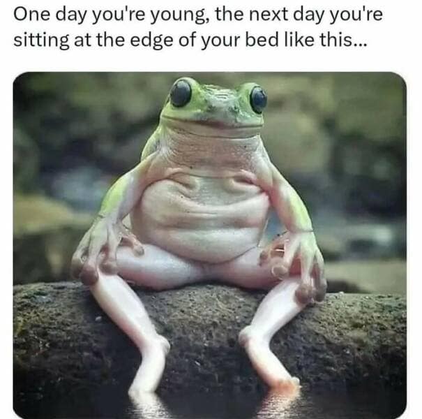 introvert memes, social anxiety memes, quiet humor, antisocial memes, solitude memes, awkward moment memes, introvert humor, anxious humor, socially awkward memes, humorous solitude memes