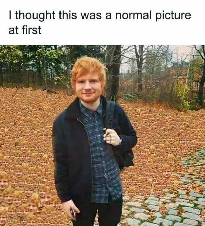 introvert memes, social anxiety memes, quiet humor, antisocial memes, solitude memes, awkward moment memes, introvert humor, anxious humor, socially awkward memes, humorous solitude memes