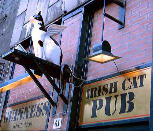 irish memes, emerald isle memes, Gaelic humor, shamrock jokes, Celtic memes, Gaelic funnies, leprechaun references, Irish humor, pub jokes, green-themed laughs, St Patrick's day memes