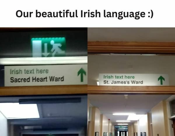 irish memes, emerald isle memes, Gaelic humor, shamrock jokes, Celtic memes, Gaelic funnies, leprechaun references, Irish humor, pub jokes, green-themed laughs, St Patrick's day memes