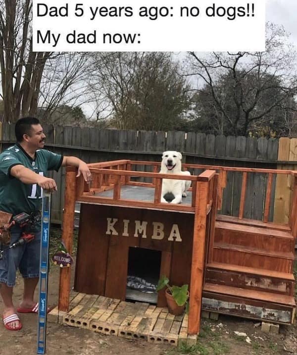 Dad 5 years ago: no dogs!! My dad now: KIMBA