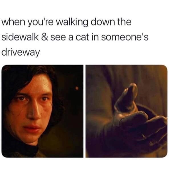 meme dump, funny memes, hilarious memes, meme collection, funny meme gallery, humor memes, funny work memes, lunch break memes, hilarious daily memes, midday meme relief, amusing daily pictures, dank memes, dank meme dump, memes funny