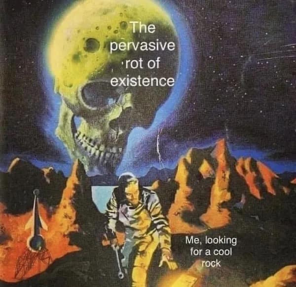 meme dump, hilarious memes, funny memes, meme bundle, meme collection, meme batch, witty images, comedic posts, uproarious jokes, sidesplitting visuals, dank memes, dank meme dump