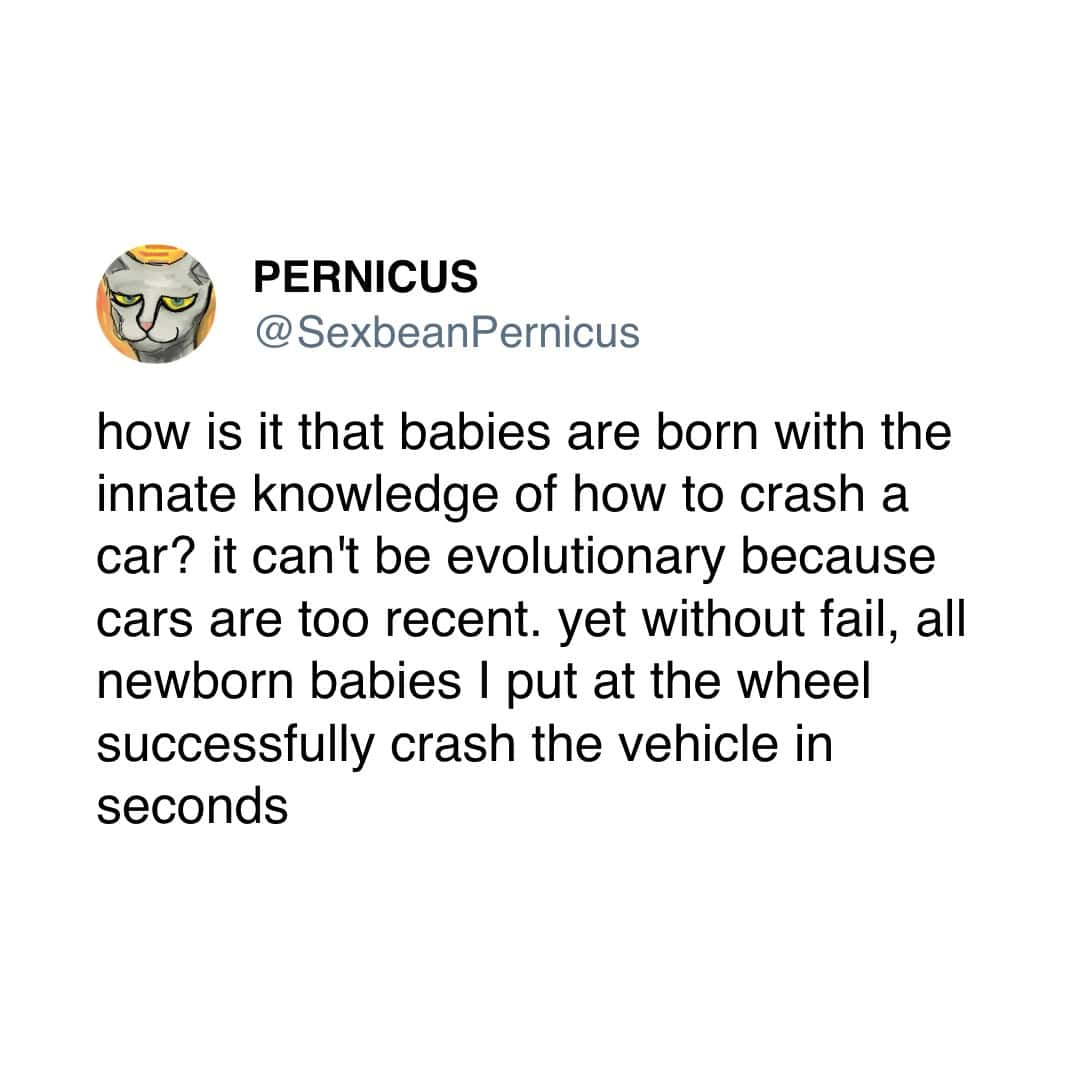 PERNICUS @ SexbeanPernicus how is it that babies are born with the innate knowledge of how to crash a car? it can't be evolutionary because cars are too recent. yet without fail, all newborn babies I put at the wheel successfully crash the vehicle in seconds