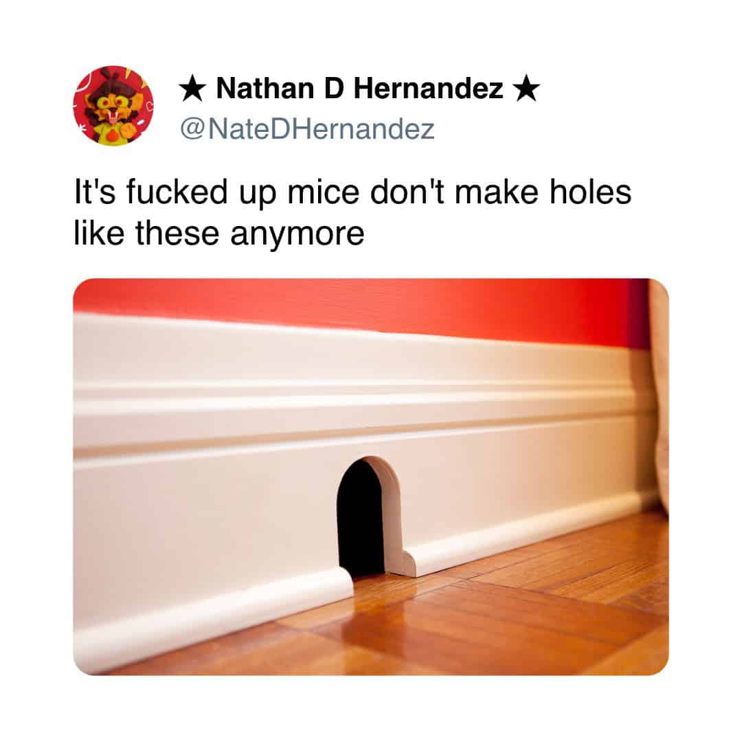 meme dump, hilarious memes, funny memes, meme bundle, meme collection, meme batch, witty images, comedic posts, uproarious jokes, sidesplitting visuals, dank memes, dank meme dump