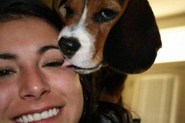 meme dump, hilarious memes, funny memes, meme bundle, meme collection, meme batch, witty images, comedic posts, uproarious jokes, sidesplitting visuals, dank memes, dank meme dump