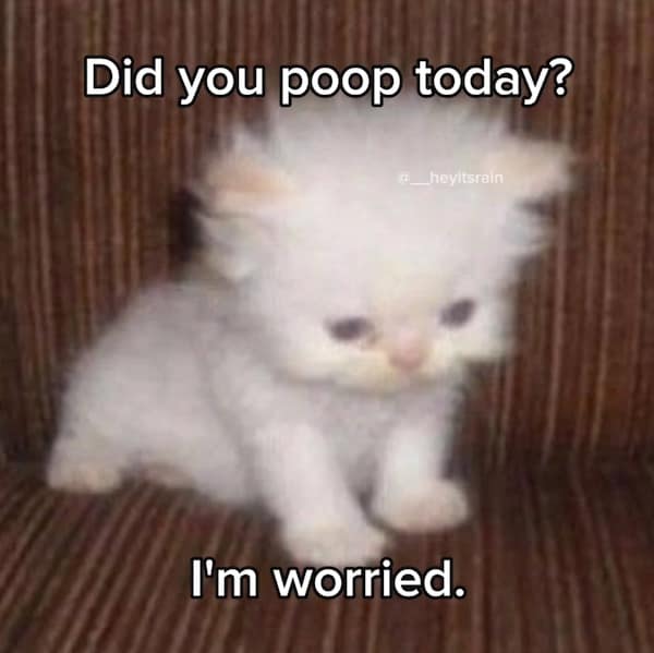meme dump, funny memes, hilarious memes, meme collection, meme roundup, meme gallery, comedic images, humor memes, laugh-worthy visuals, witty posts, dank memes, dank meme dump