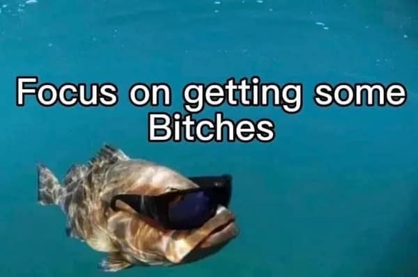 Focus on getting some Bitches