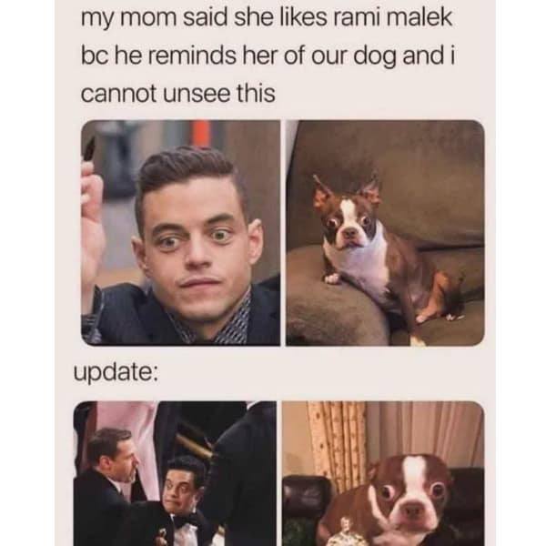 my mom said she likes rami malek be he reminds her of our dog and i cannot unsee this update: