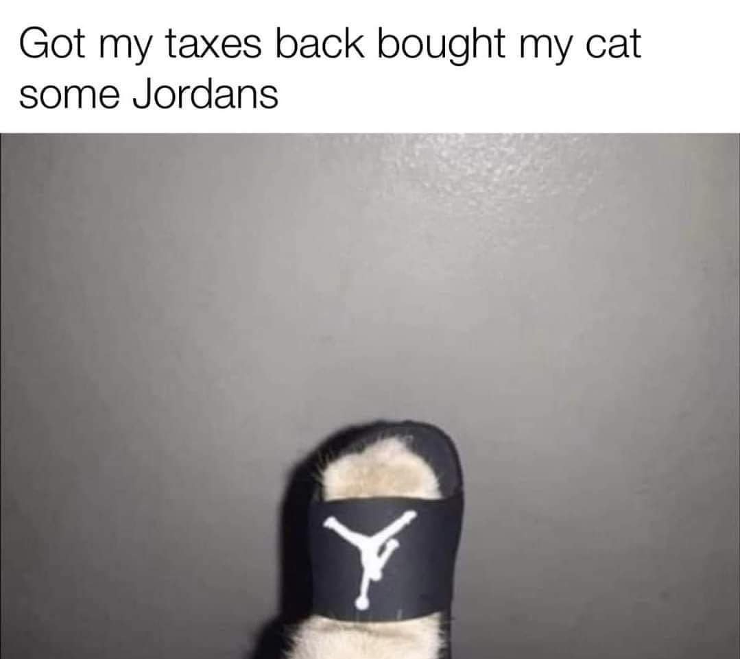 Got my taxes back bought my cat some Jordans