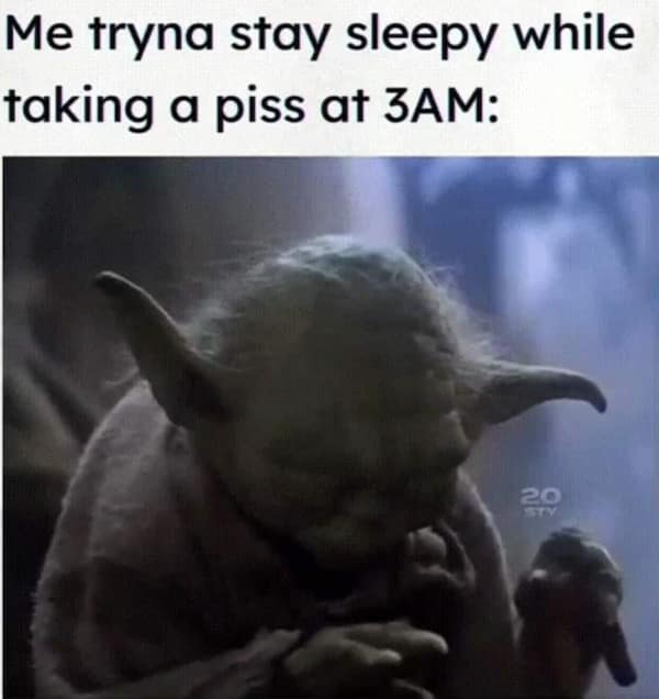 Me tryna stay sleepy while taking a piss at 3AM: