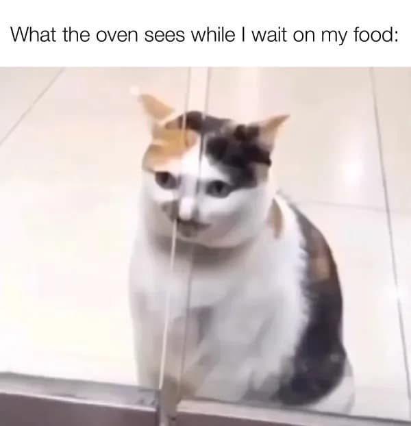 meme dump, funny memes, hilarious memes, meme roundup, comedic meme set, midday meme feed, comedic visuals, witty jokes, zany posts, whimsical content, office humor, break-time laughs, slack-off gags, dank memes, dank meme dump, memes funny