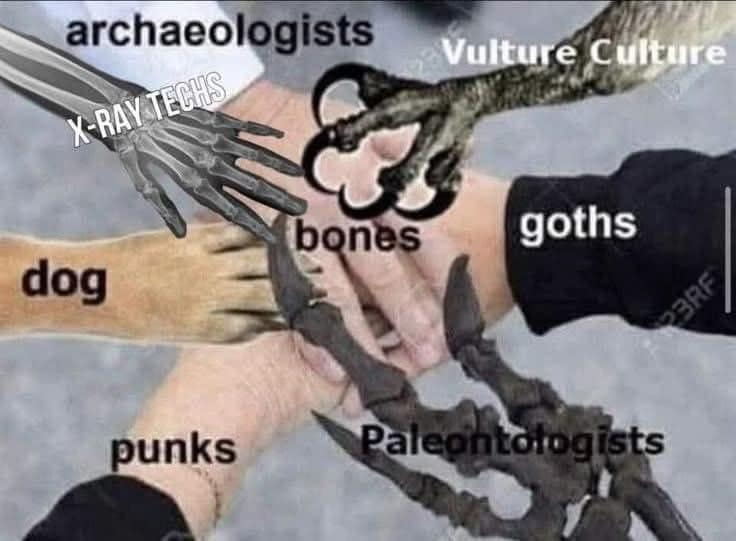 archaeologists X-RAY TECHS Vulture Culture bones goths dog punks Paleontologists