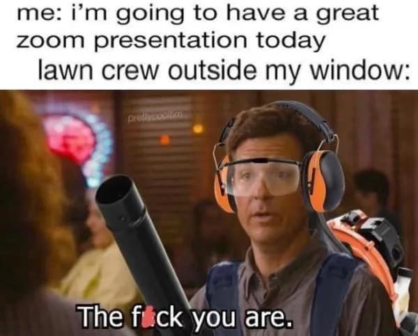 meme dump, funny memes, hilarious memes, humorous memes, workplace memes, office memes, professional memes, career memes lunchtime memes, lunch break memes, midday memes, break memes, adulting memes, life memes, grown-up memes, responsibility memes, dank memes, dank meme dump, memes funny