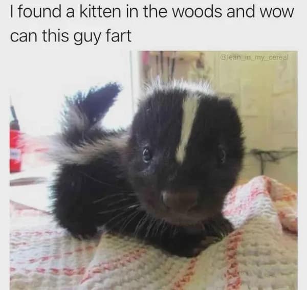 meme dump, funny memes, hilarious memes, meme roundup, comedic meme set, midday meme feed, comedic visuals, witty jokes, zany posts, whimsical content, office humor, break-time laughs, slack-off gags, dank memes, dank meme dump, memes funny