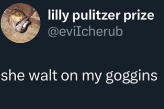 meme dump, funny memes, hilarious memes, meme collection, comedic spree, batch of memes, comedic images, laugh-worthy posts, side-splitting visuals, comedic snapshots, lazy Sunday memes, weekend humor, procrastination jokes, dank memes, dank meme dump, memes funny