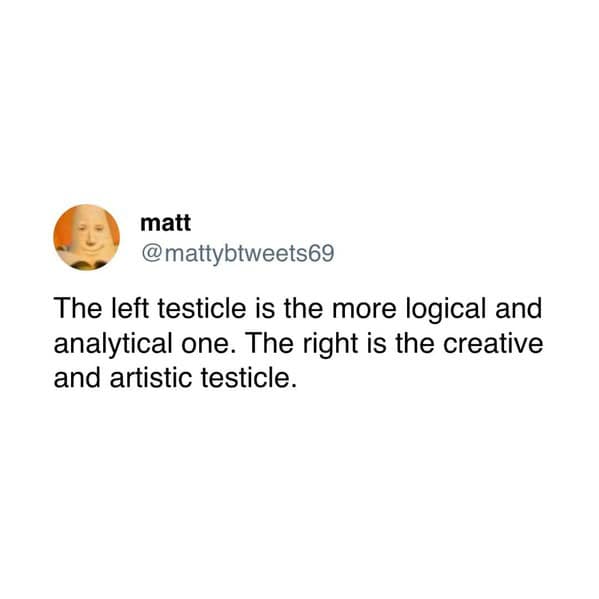 meme dump, funny memes, hilarious memes, humorous memes, workplace memes, office memes, professional memes, career memes lunchtime memes, lunch break memes, midday memes, break memes, adulting memes, life memes, grown-up memes, responsibility memes, dank memes, dank meme dump, memes funny