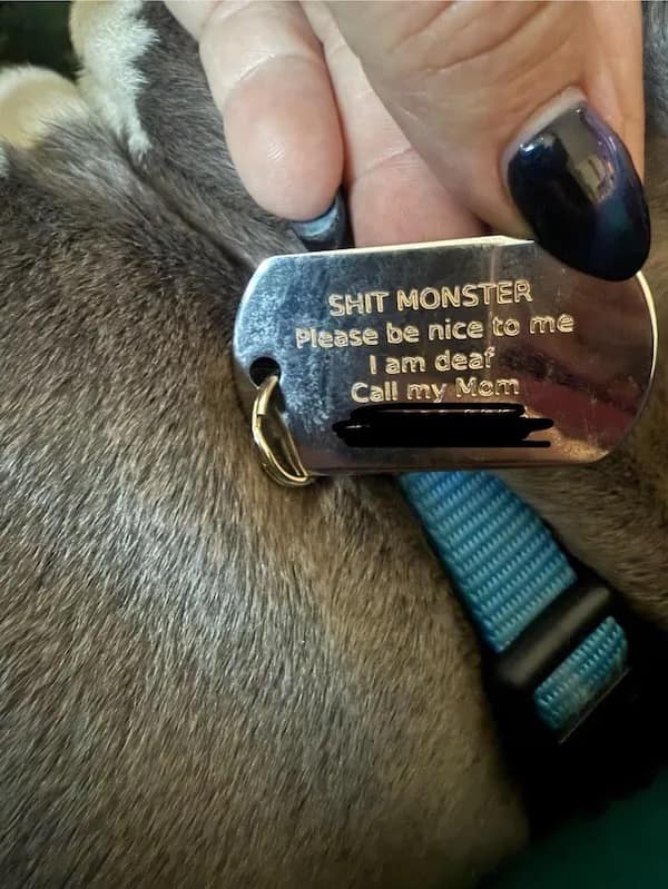 SHIT MONSTER Please be nice to me I am deat Call my Mem