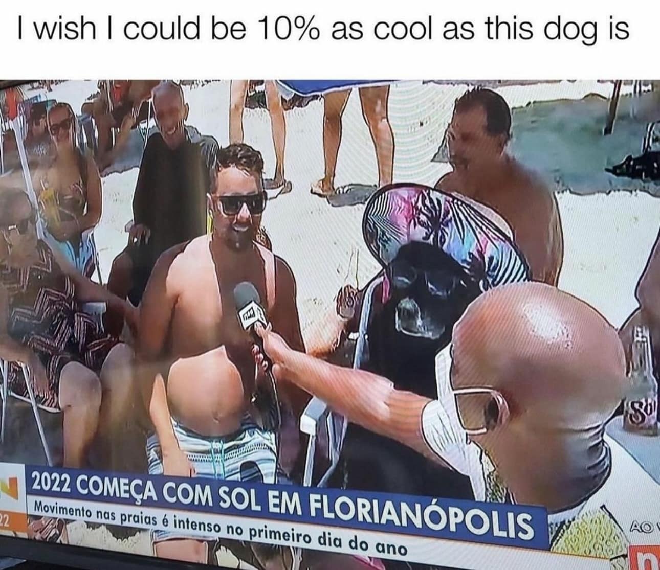 1 wish I could be 10% as cool as this dog is 2022 COMEÇA COM SOL EM FLORIANÓPOLIS Movimento nas praias é intenso no primeiro dia do ano AO
