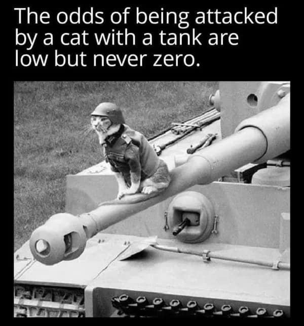 The odds of being attacked by a cat with a tank are low but never zero.