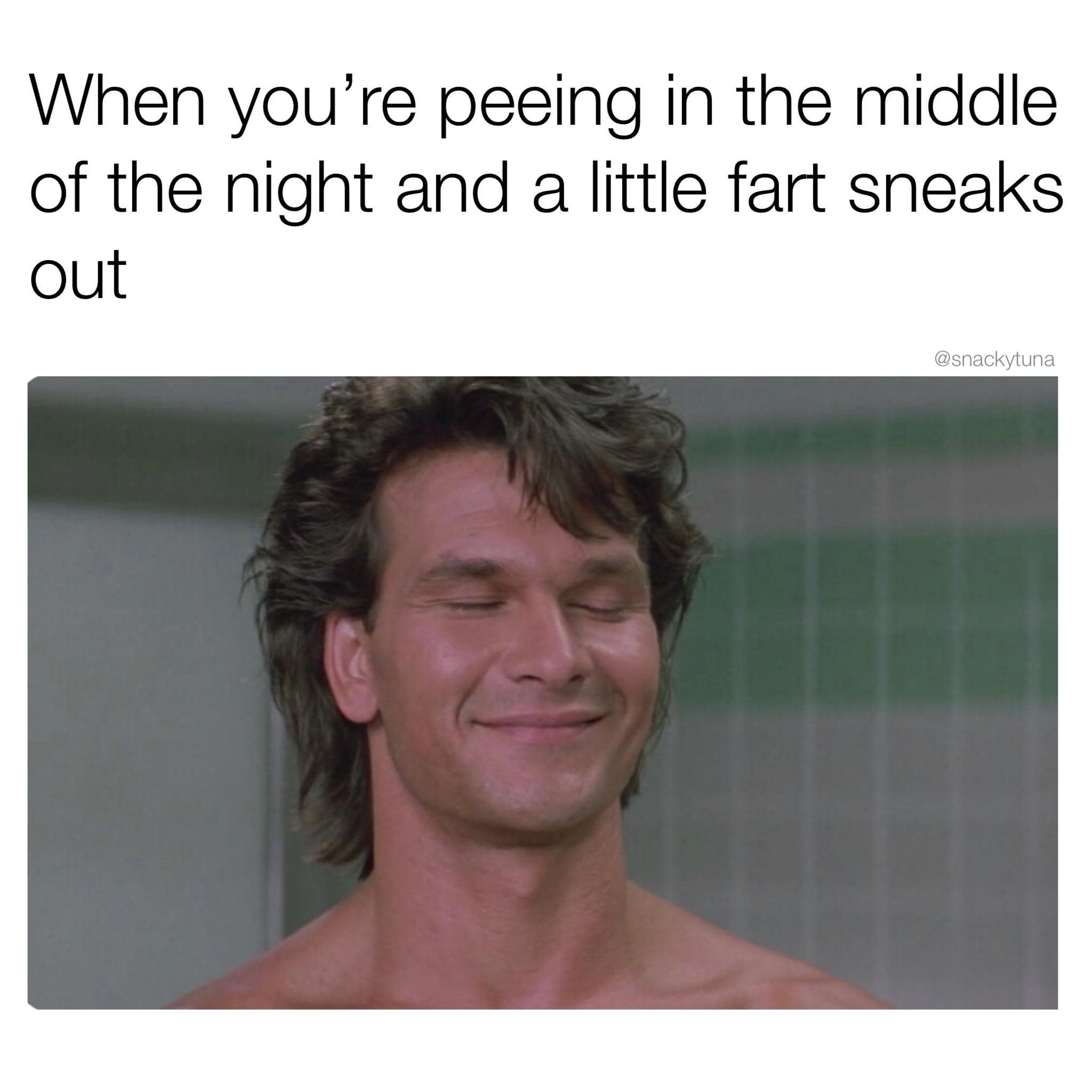 When you're peeing in the middle of the night and a little fart sneaks Out @snackytuna