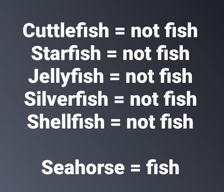 Cuttlefish = not fish Starfish = not fish Jellyfish = not fish Silverfish = not fish Shellfish = not fish Seahorse = fish