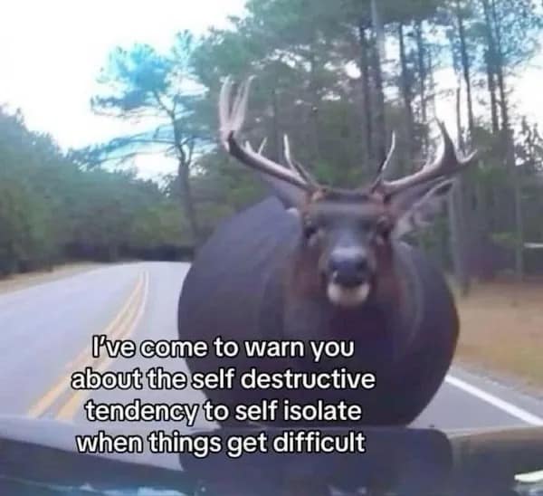 meme dump, funny memes, hilarious memes, comedic meme pile, midday laughs, mass meme feed, meme gallery, silly images, chaotic laughter, witty roasts, teasing snapshots, dank memes, dank meme dump, memes funny