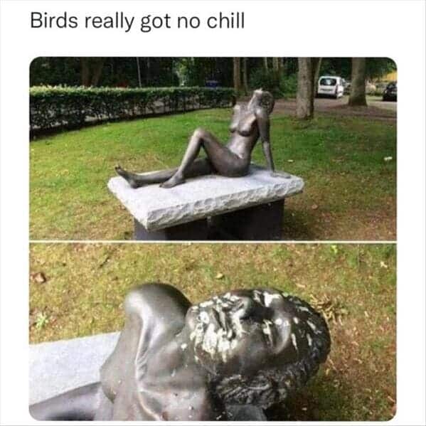 meme dump, funny memes, hilarious memes, daily memes, meme collection meme gallery, trending memes, memes funny, dank memes, dank meme dump, today's best memes, fresh memes