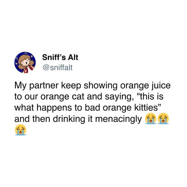 meme dump, funny memes, hilarious memes, humorous memes, Friday memes, weekend memes, Friday humor, weekend vibes, TGIF memes, meme gallery, meme collection, dank memes, dank meme dump