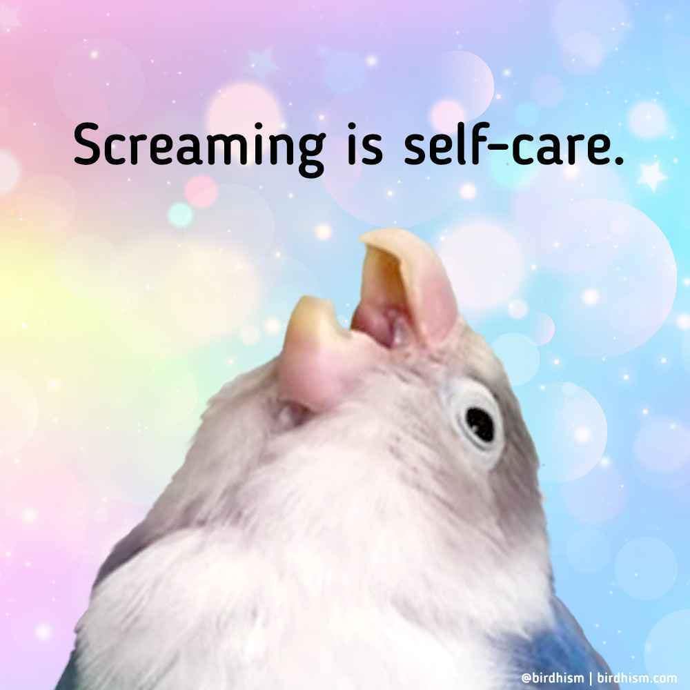 Screaming is self-care. @birdhism | birdhism.com