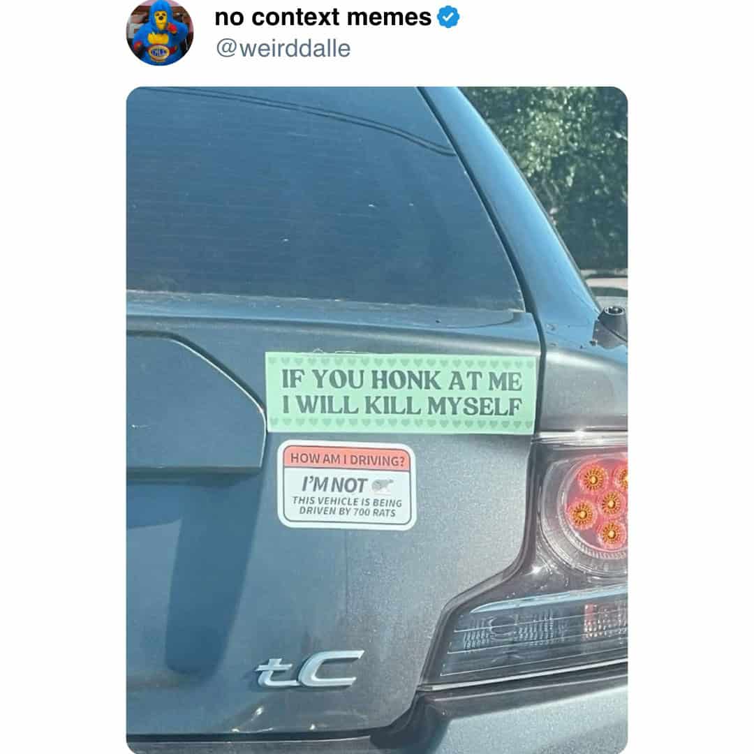 no context memes @weirddalle IF YOU HONK AT ME I WILL KILL MYSELF HOW AM I DRIVING? I'MNOT @ THIS VEHICLE IS BEING DRIVEN BY 700 RATS tC