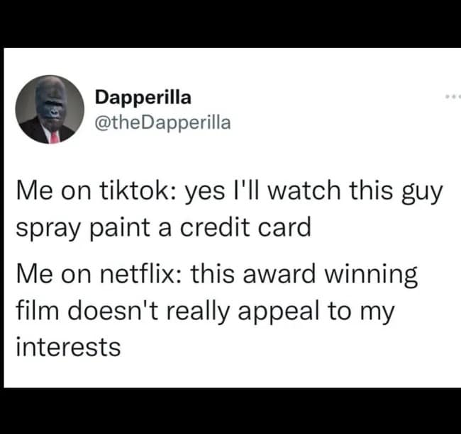 meme dump, funny memes, hilarious memes, comedic meme pile, midday laughs, mass meme feed, meme gallery, silly images, chaotic laughter, witty roasts, teasing snapshots, dank memes, dank meme dump, memes funny