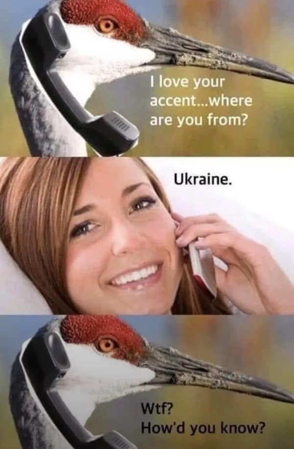 meme dump, funny memes, hilarious memes, internet humor, funny memes, laughter-inducing content, meme collection, humor compilation, joke repository, memes funny, dank memes, dank meme dump