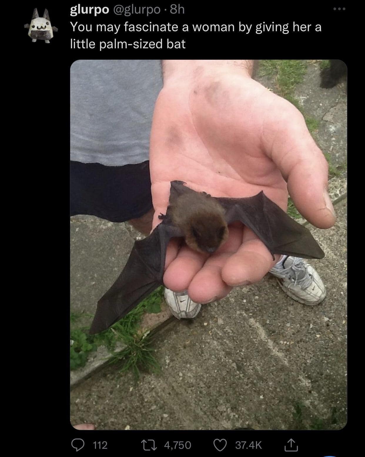 meme dump, vintage memes, viral tweets, meme stash, meme bundle, comedic meme load, meme gallery, comedic images, witty meme takes, laugh-worthy posts, side-splitting jokes, dank memes, dank meme dump