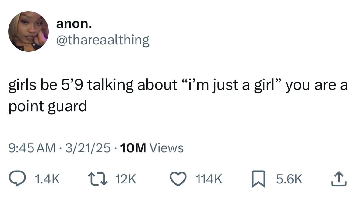 meme dump, funny memes, hilarious memes, daily memes, meme collection meme gallery, trending memes, memes funny, dank memes, dank meme dump, today's best memes, fresh memes