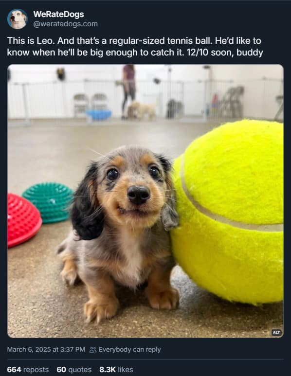 meme dump, funny memes, hilarious memes, meme collection, meme bundle, midday memes, comedic images, witty humor, amusing pics, side-splitting posts, dank memes, dank meme dump