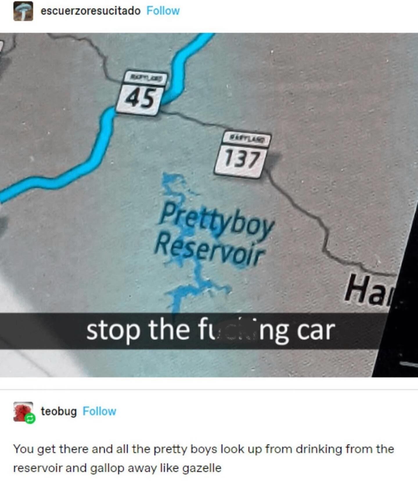 meme dump, funny memes, hilarious memes, comedic meme spree, cluster of memes, stash of memes, comedic images, internet laughs, side-splitting visuals, comedic references, Monday procrastination, workweek humor, daily comedic relief, dank memes, dank meme dump, memes funny