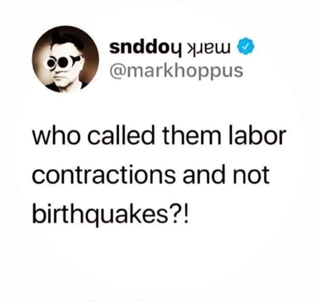 meme dump, funny memes, hilarious memes, Sunday memes, funny memes, weekend humor, lazy day memes, weekend fails, relatable Sunday memes, end-of-weekend laughs, humorous Sunday content, meme binge posts, meme gallery, dank memes, dank meme dump, memes funny