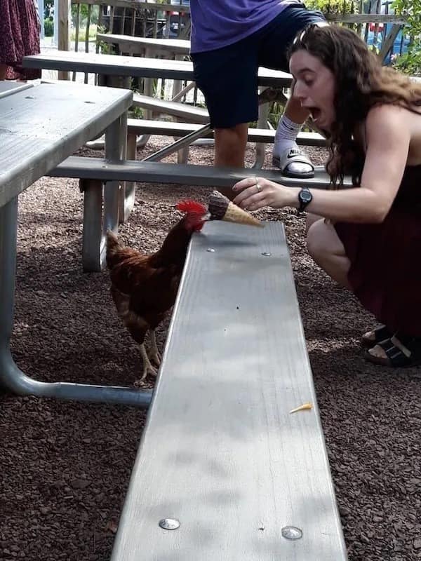 meme dump, funny memes, hilarious memes, daily memes, meme collection meme gallery, trending memes, memes funny, dank memes, dank meme dump, today's best memes, fresh memes