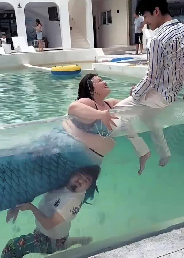 meme dump, vintage memes, viral tweets, meme stash, meme bundle, comedic meme load, meme gallery, comedic images, witty meme takes, laugh-worthy posts, side-splitting jokes, dank memes, dank meme dump