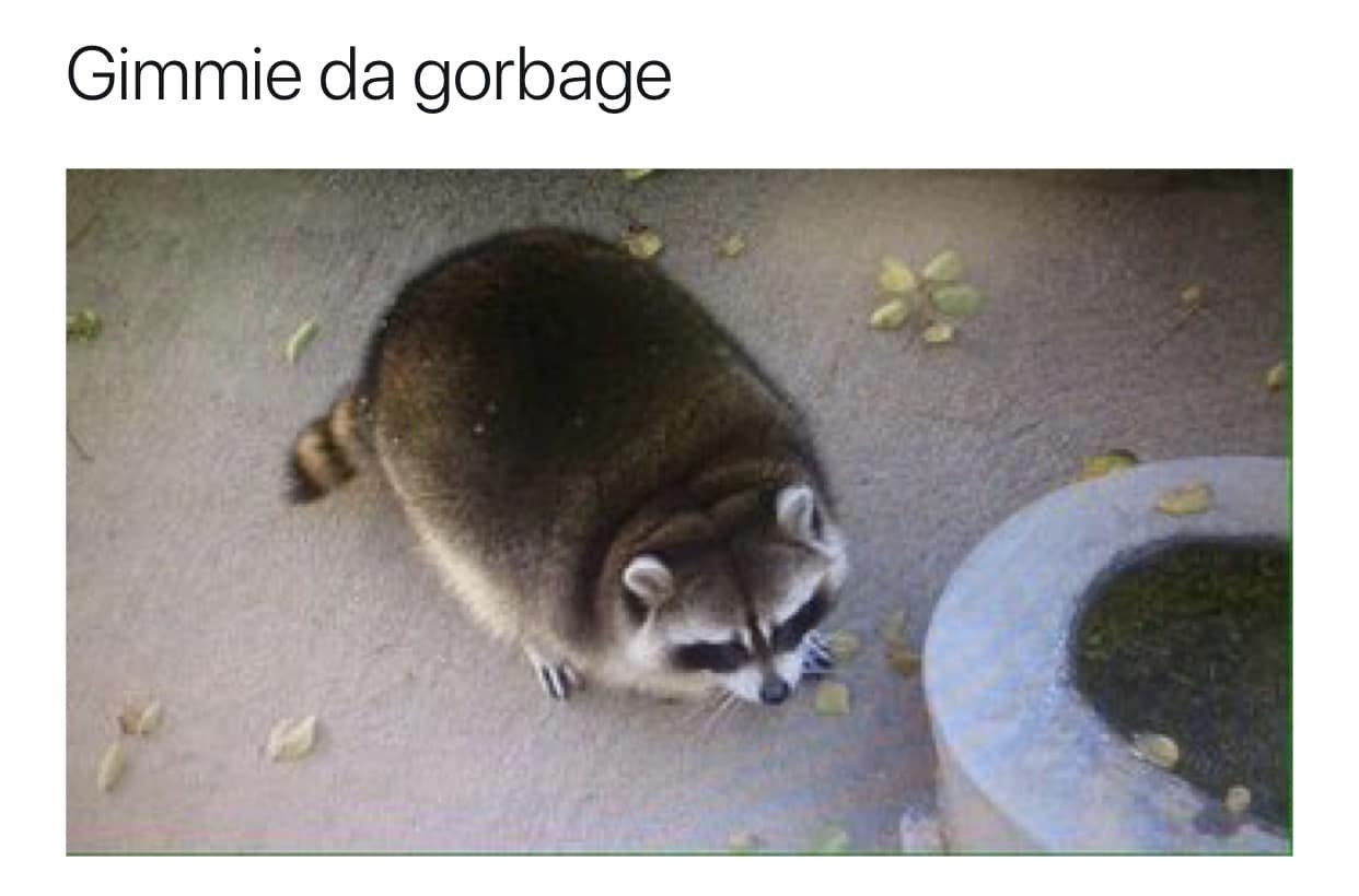 meme dump, funny memes, hilarious memes, comedic meme pile, midday laughs, mass meme feed, meme gallery, silly images, chaotic laughter, witty roasts, teasing snapshots, dank memes, dank meme dump, memes funny