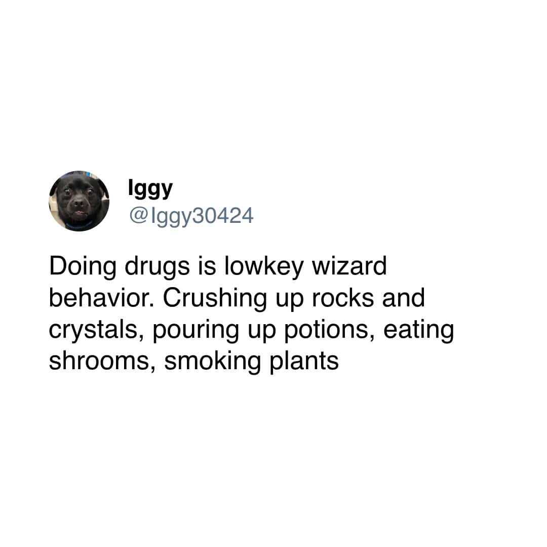 meme dump, funny memes, hilarious memes, comedic meme pile, midday laughs, mass meme feed, meme gallery, silly images, chaotic laughter, witty roasts, teasing snapshots, dank memes, dank meme dump, memes funny