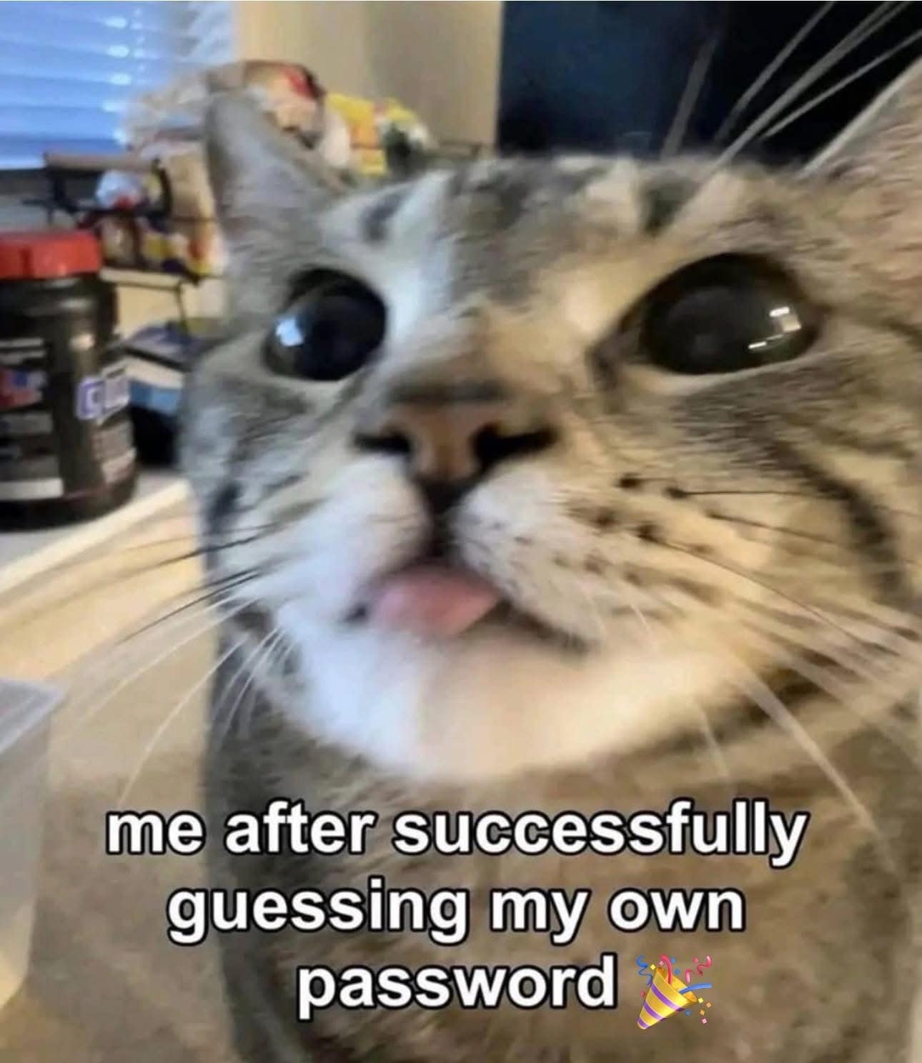 me after successfully guessing my own password