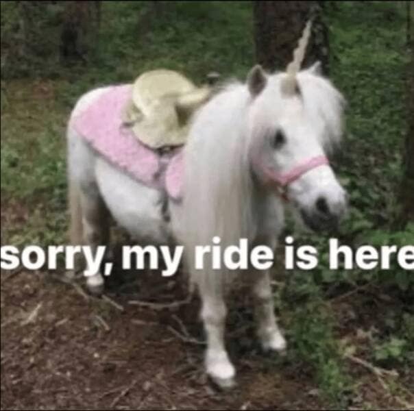 sorry, my ride is here