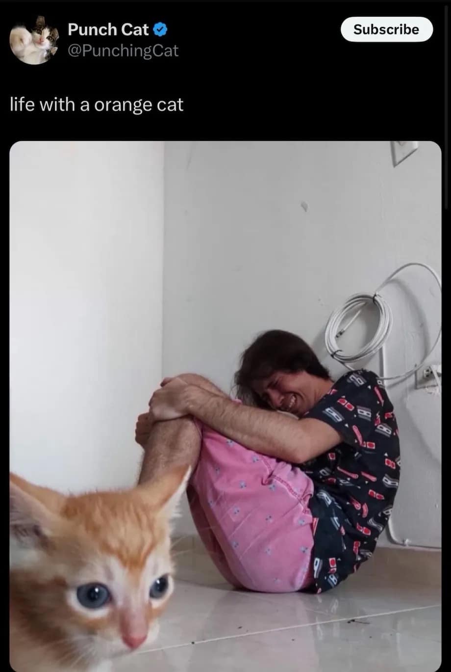 meme dump, funny memes, hilarious memes, daily memes, meme collection meme gallery, trending memes, memes funny, dank memes, dank meme dump, today's best memes, fresh memes