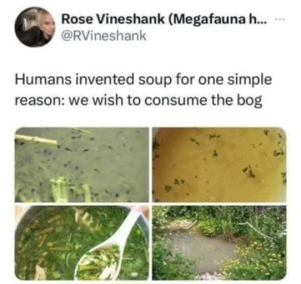 meme dump, funny memes, hilarious memes, meme collection, meme bundle, midday memes, comedic images, witty humor, amusing pics, side-splitting posts, dank memes, dank meme dump