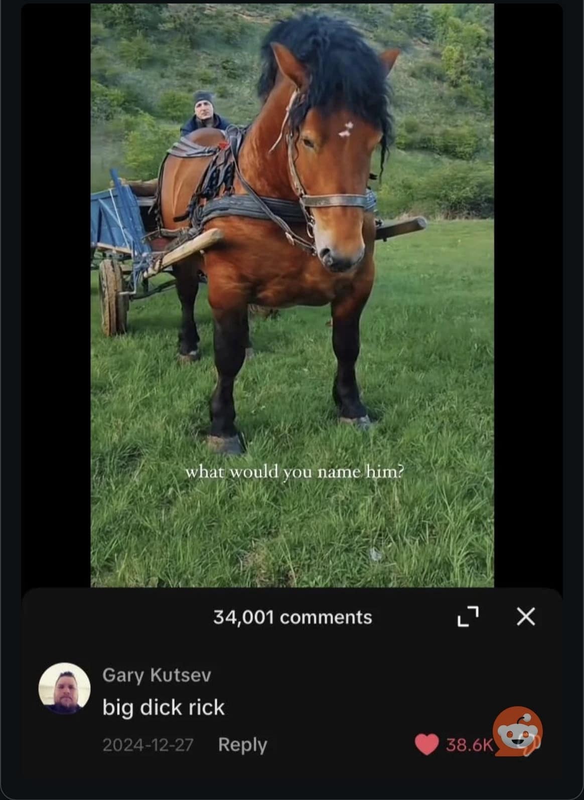 meme dump, vintage memes, viral tweets, meme stash, meme bundle, comedic meme load, meme gallery, comedic images, witty meme takes, laugh-worthy posts, side-splitting jokes, dank memes, dank meme dump