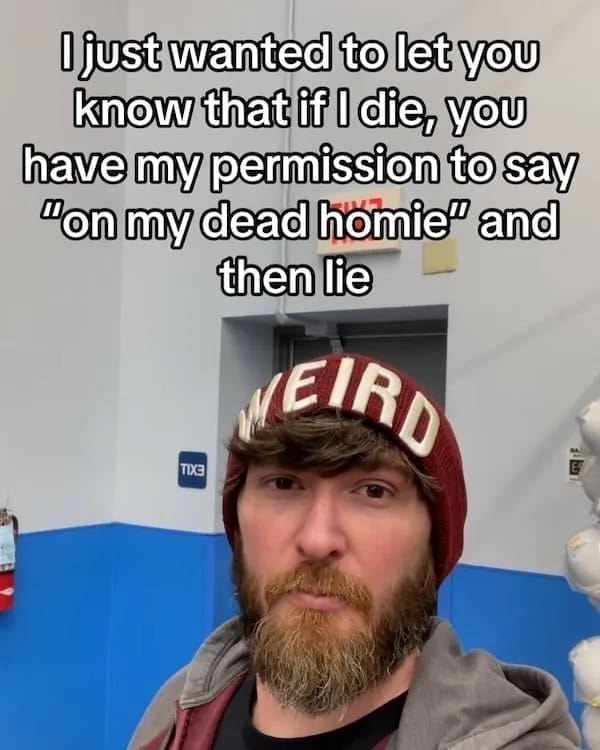 meme dump, funny memes, hilarious memes, comedic meme spree, cluster of memes, stash of memes, comedic images, internet laughs, side-splitting visuals, comedic references, Monday procrastination, workweek humor, daily comedic relief, dank memes, dank meme dump, memes funny