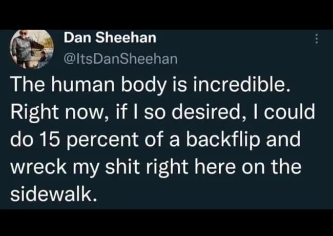 Dan Sheehan @ItsDanSheehan The human body is incredible. Right now, if I so desired, I could do 15 percent of a backflip and wreck my shit right here on the sidewalk.